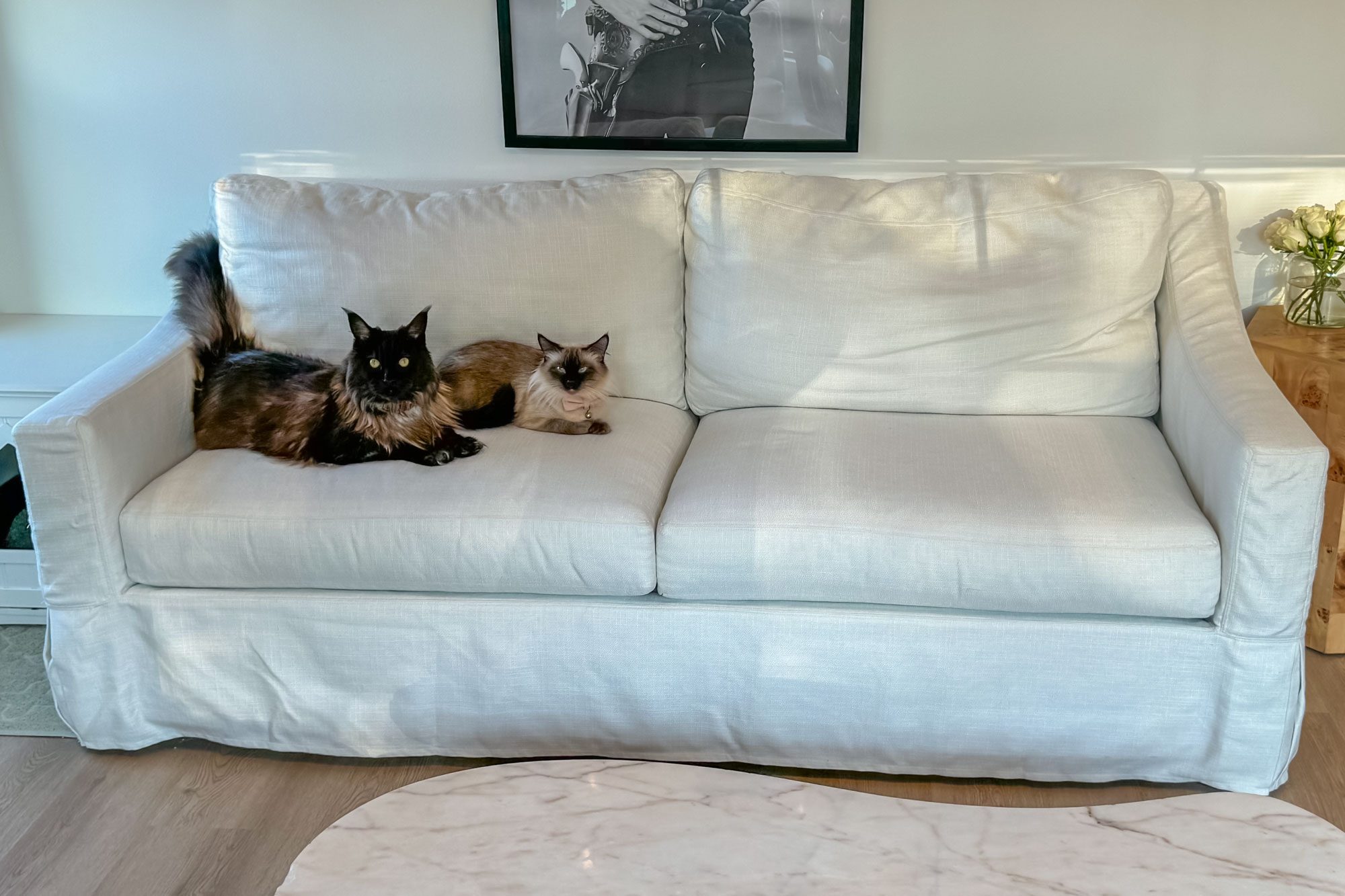 Pottery Barn York Sofa Review: Its Washable Slipcovers Make It a Dream Couch for Cat Parents Like Me