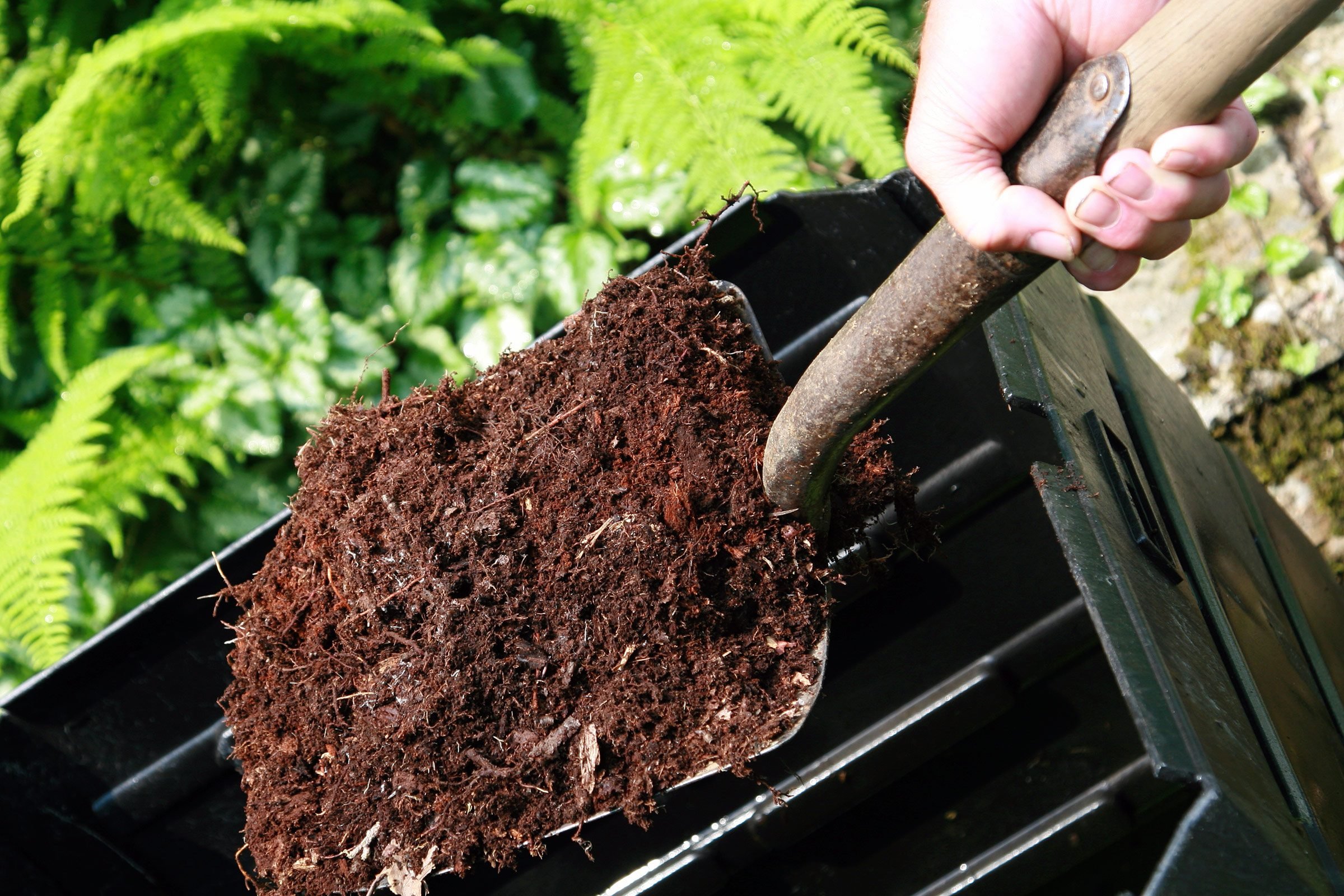 Natural Weed Killers Control Weeds Without Chemicals