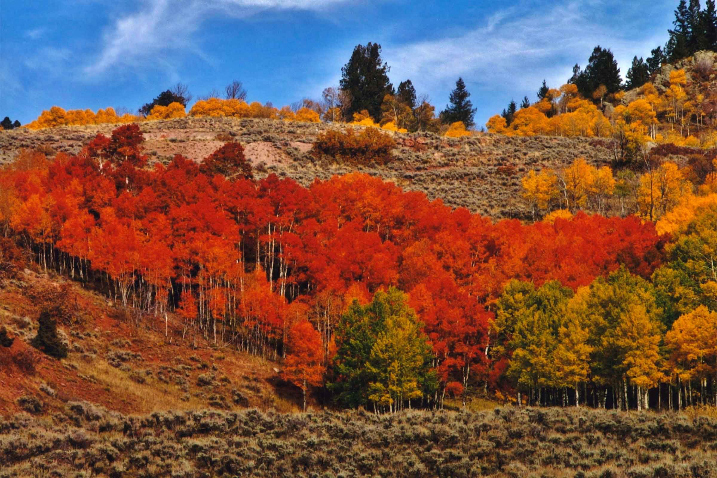 Fall Pictures: Photos of Autumn Across America | Reader's Digest